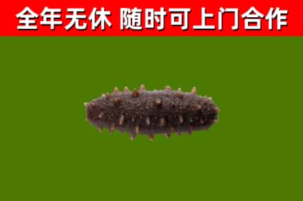 藤县烟酒回收干海参.jpg